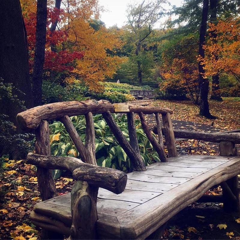 bench in asian gardens at Snug Harbor Cultural Center