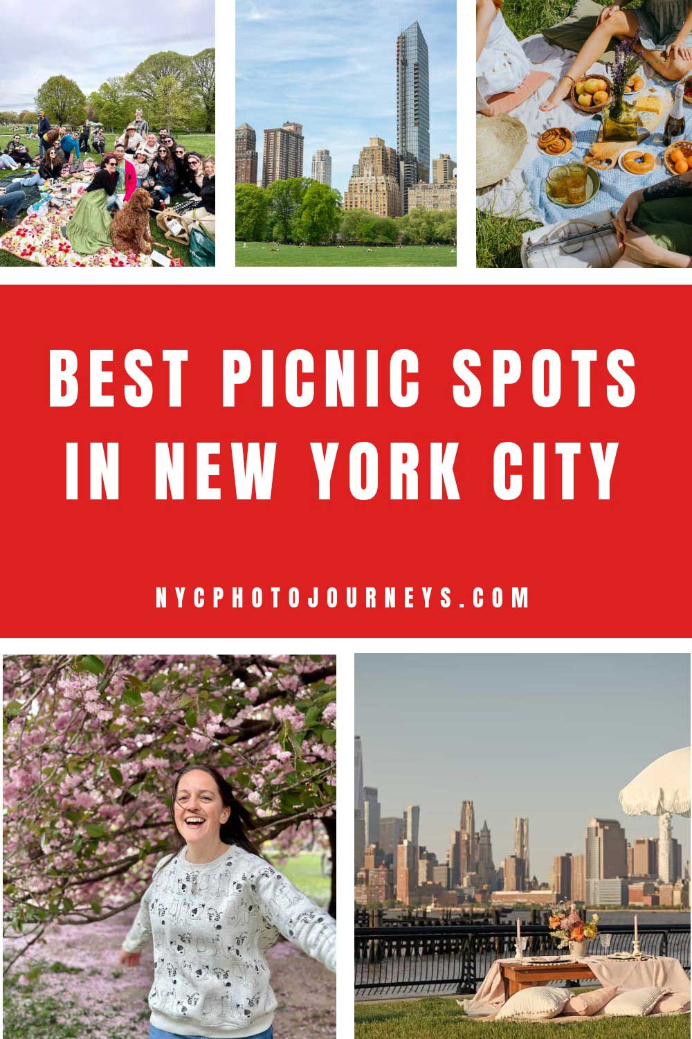 Best picnic spots in New York City featuring group picnics in the park, skyline views, cozy picnic setups, and springtime cherry blossoms, perfect for outdoor NYC experiences.